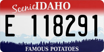 ID license plate E118291