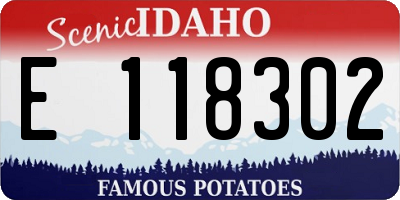 ID license plate E118302