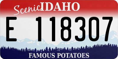 ID license plate E118307