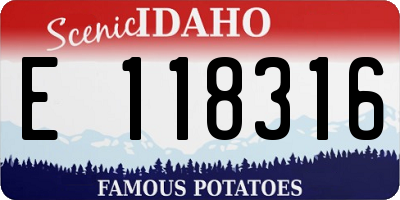 ID license plate E118316