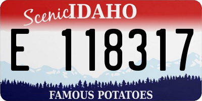 ID license plate E118317