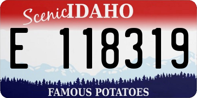 ID license plate E118319