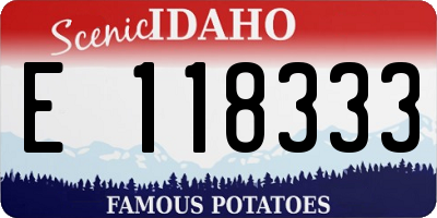 ID license plate E118333