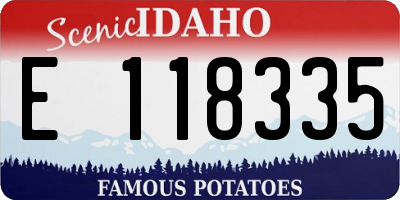 ID license plate E118335