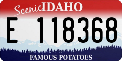 ID license plate E118368