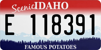 ID license plate E118391