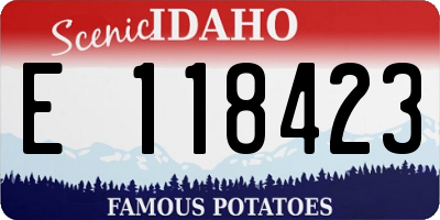 ID license plate E118423