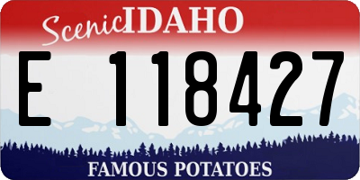 ID license plate E118427