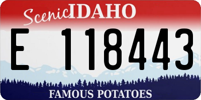 ID license plate E118443