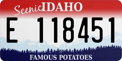 ID license plate E118451