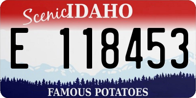 ID license plate E118453