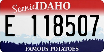 ID license plate E118507