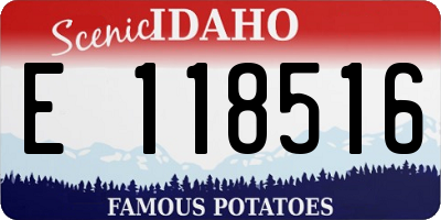 ID license plate E118516