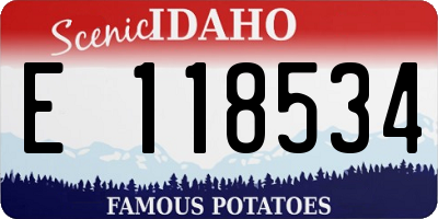 ID license plate E118534