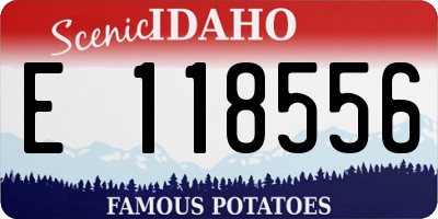 ID license plate E118556
