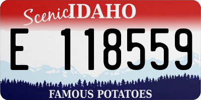 ID license plate E118559