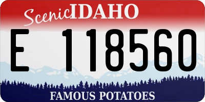 ID license plate E118560