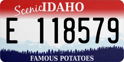 ID license plate E118579