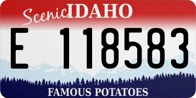 ID license plate E118583
