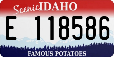 ID license plate E118586