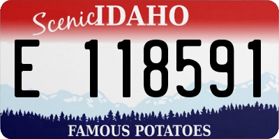 ID license plate E118591