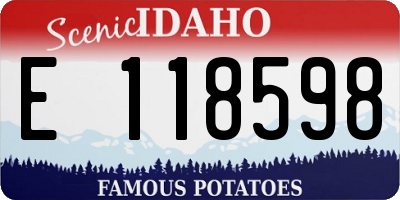 ID license plate E118598