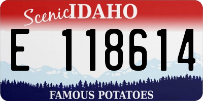 ID license plate E118614
