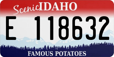 ID license plate E118632