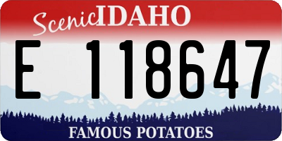 ID license plate E118647