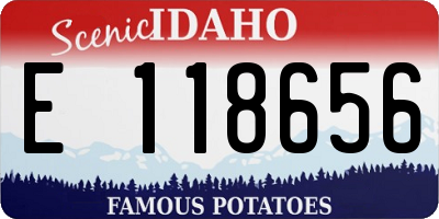 ID license plate E118656