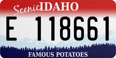ID license plate E118661