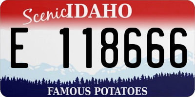 ID license plate E118666