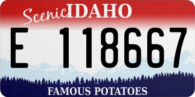 ID license plate E118667