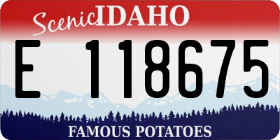ID license plate E118675