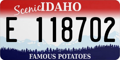 ID license plate E118702
