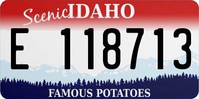 ID license plate E118713