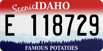 ID license plate E118729
