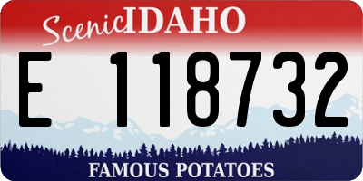 ID license plate E118732
