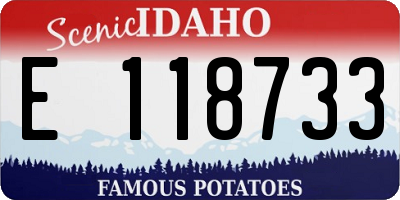 ID license plate E118733