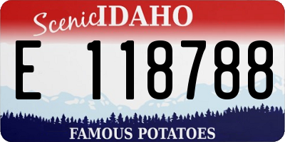 ID license plate E118788