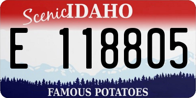 ID license plate E118805