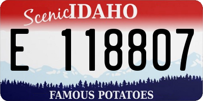ID license plate E118807