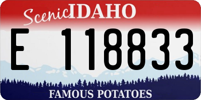 ID license plate E118833