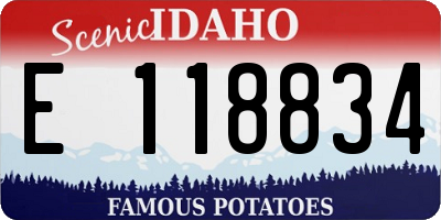 ID license plate E118834
