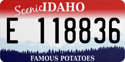 ID license plate E118836