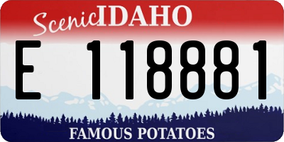 ID license plate E118881
