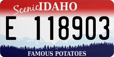 ID license plate E118903