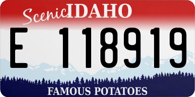 ID license plate E118919