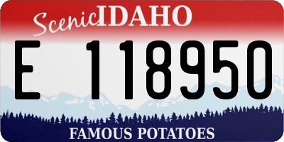 ID license plate E118950