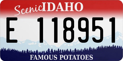 ID license plate E118951
